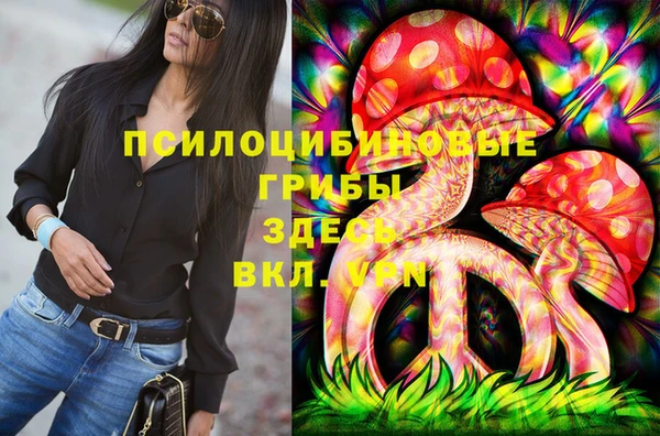 СК Балахна