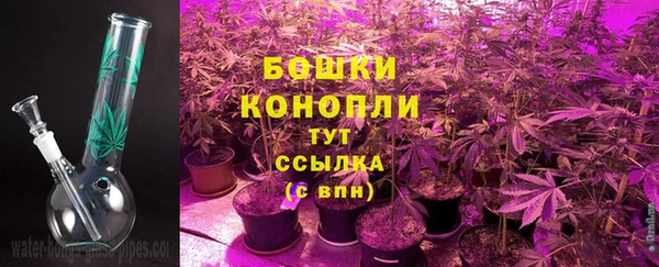 MESCALINE Белокуриха
