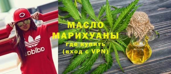 гидра Ельня
