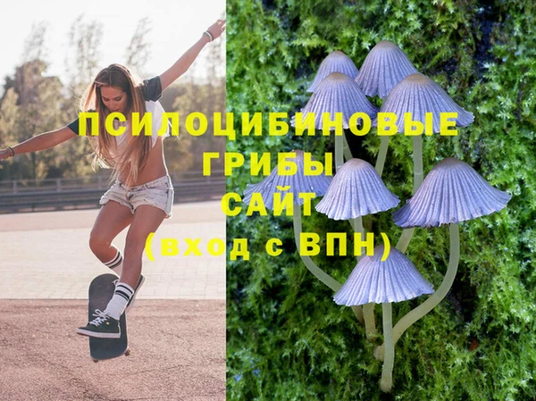 СК Балахна
