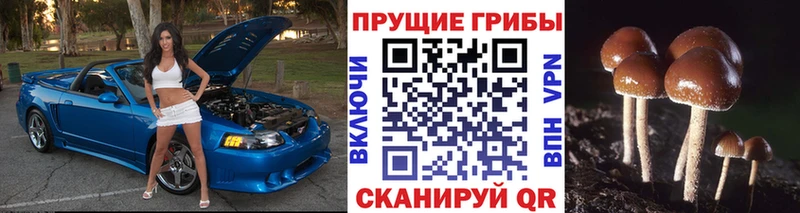 Галлюциногенные грибы Cubensis  Билибино 